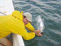 Fishing near Rincon