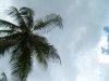 Sandy Beach in Rincon